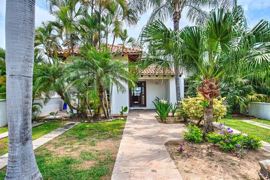 Before Lawn Enhancement